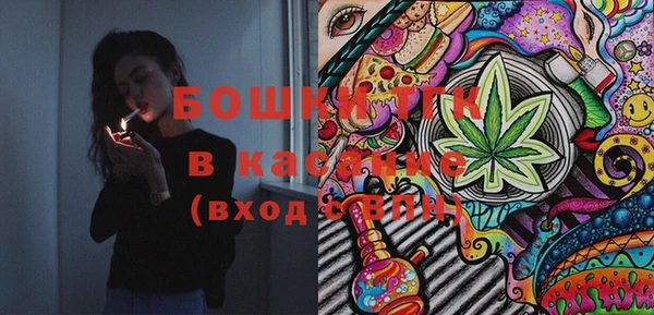 дмт Арсеньев
