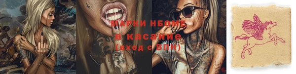 дмт Арсеньев